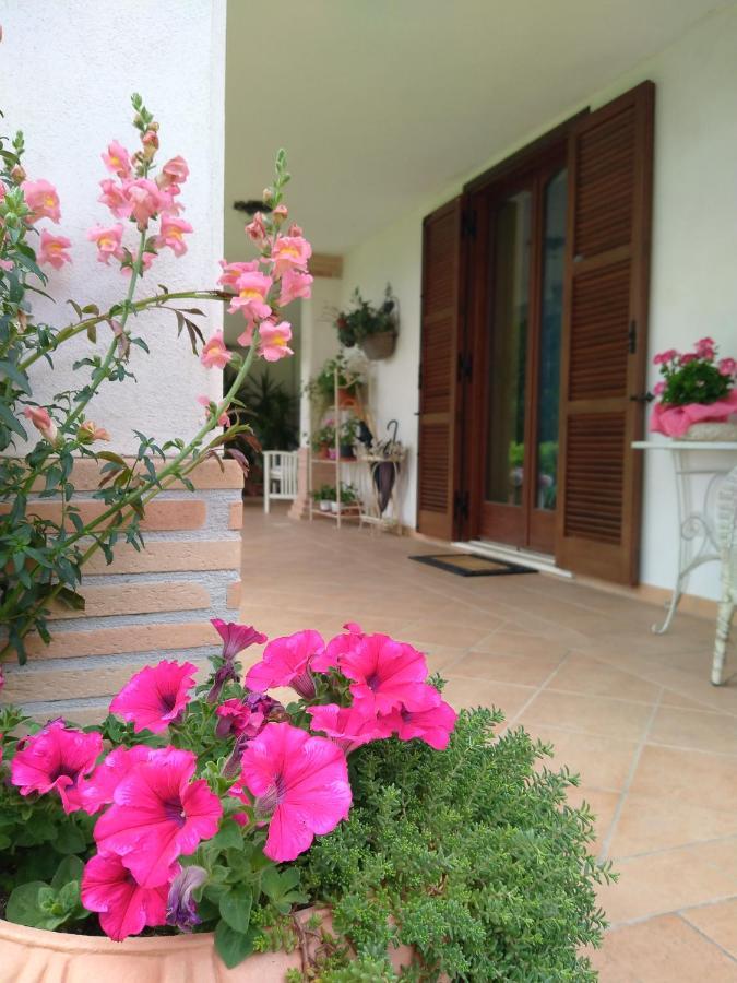 Greccio B&B Il Cantico المظهر الخارجي الصورة