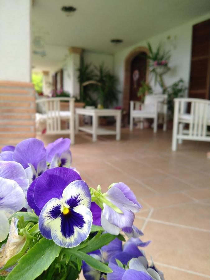 Greccio B&B Il Cantico المظهر الخارجي الصورة
