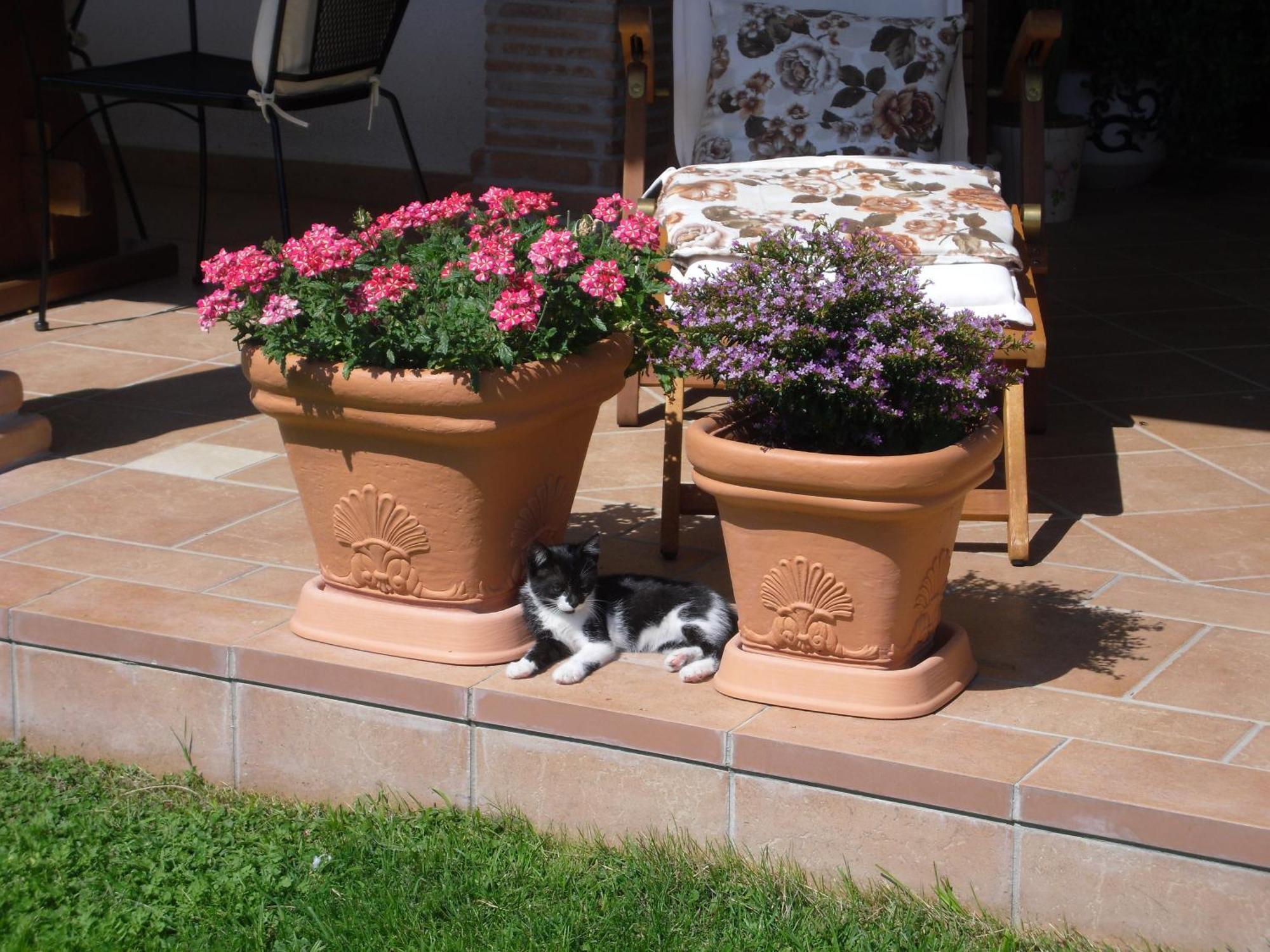 Greccio B&B Il Cantico الغرفة الصورة